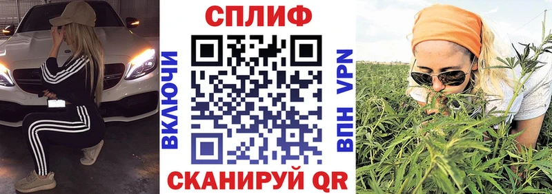 где купить наркоту  Полысаево  Канабис Amnesia 